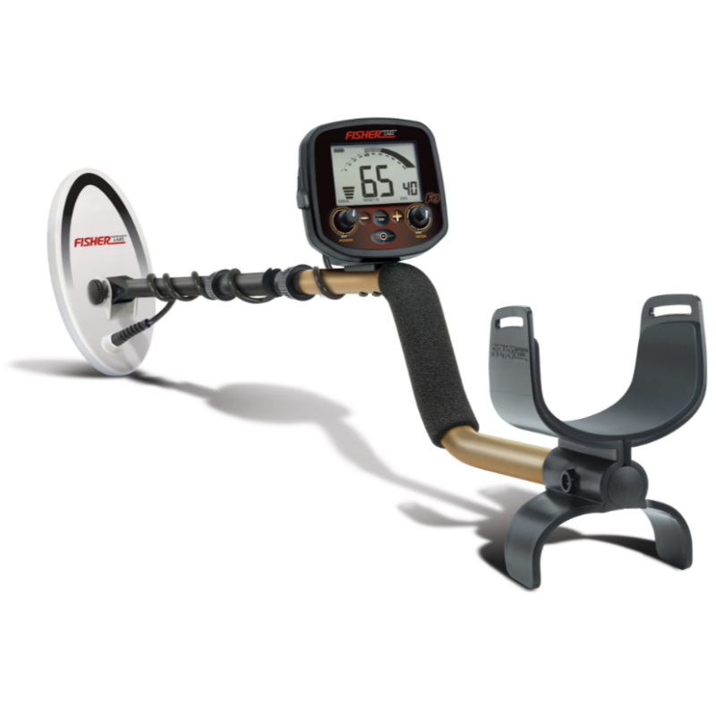 Máy Dò Kim Loại FISHER F19
