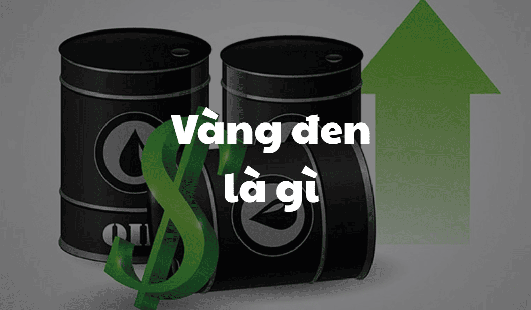 Vàng đen là gì - Dầu mỏ, than đá và hạt tiêu - Ba loại tài nguyên chiến lược quan trọng